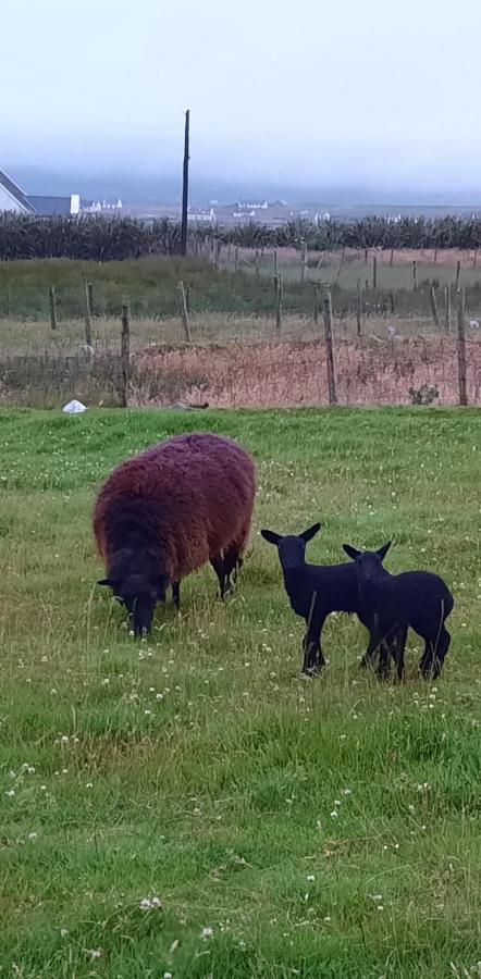 Apartmán Creevagh Keel  Exteriér fotografie